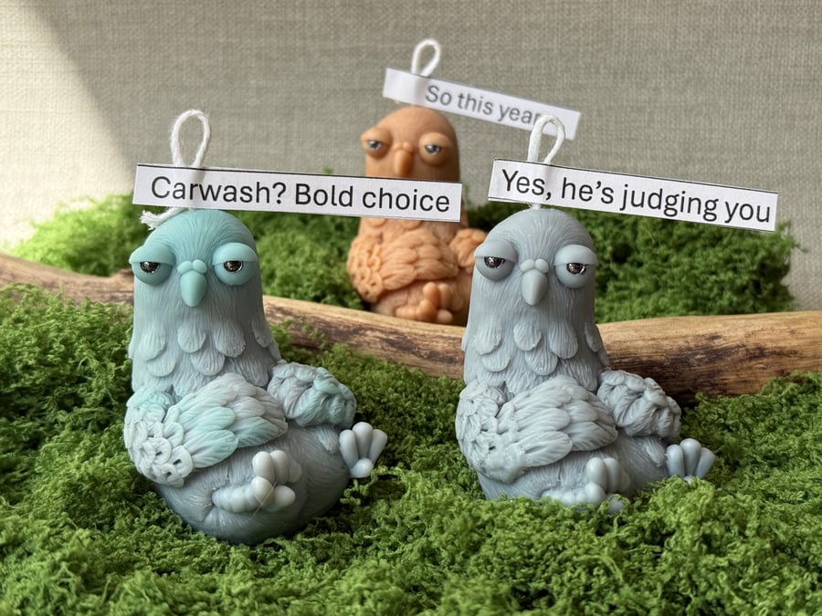 Funny Gift for Him – Customisable Beeswax Bird Candle – Quirky Father’s Day Gift