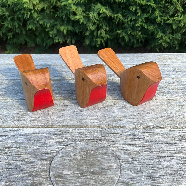 Cherry Wood Robin (B5)