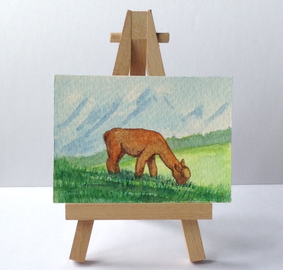 Aceo of alpaca grazing original art card 