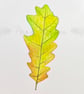 Green and Yellow Oak Leaf Original Painting - Image 3