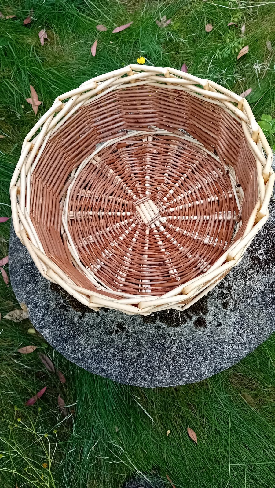Willow basket