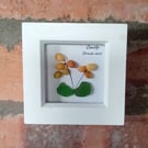 Scottish Seaglass wildflower Yellow Cowslip framed picture