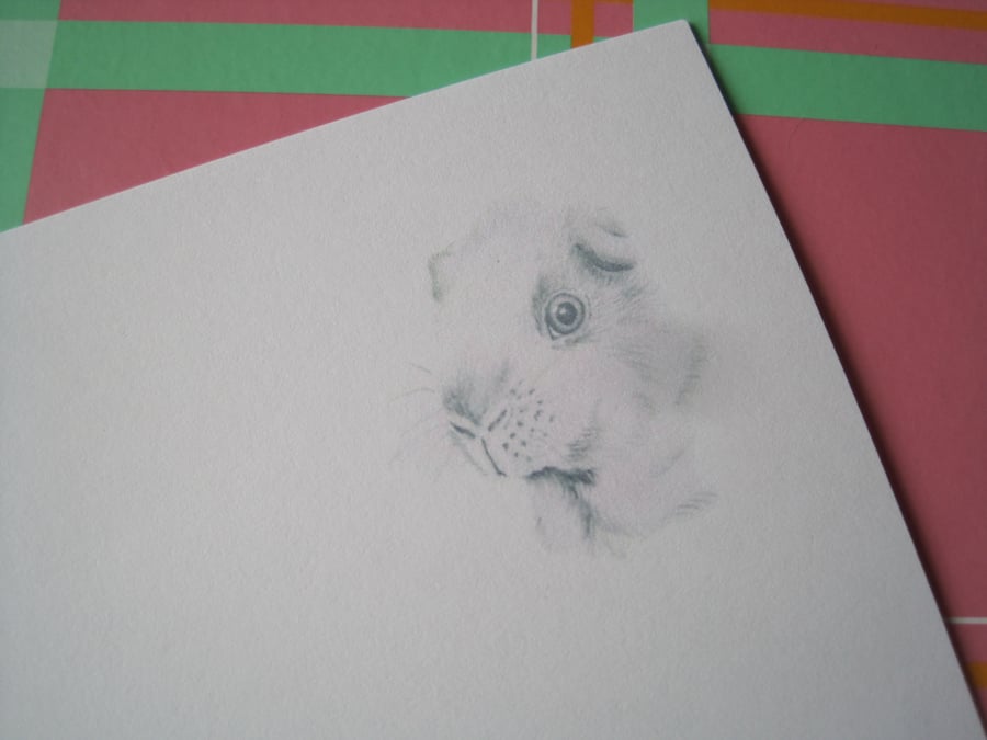 Note paper Guinea Pig JUST ONE PACK LEFT!