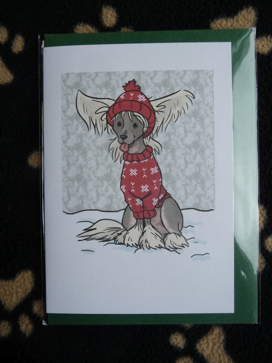 Chinese Crested Christmas Card 