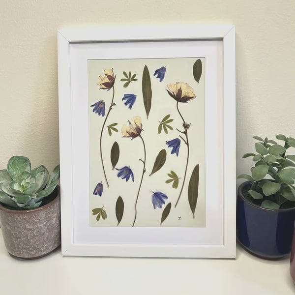 Framed Real Pressed Flower and Foliage Botanical Art