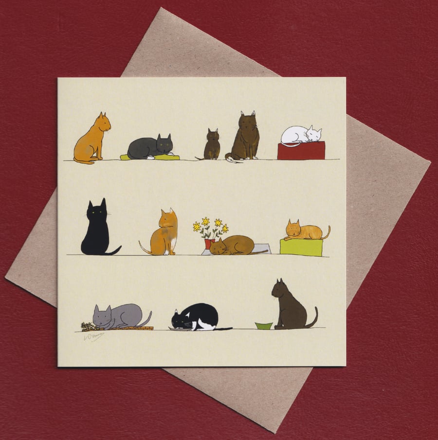 Greetings card - cats - birthday card