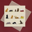 Greetings card - cats - birthday card