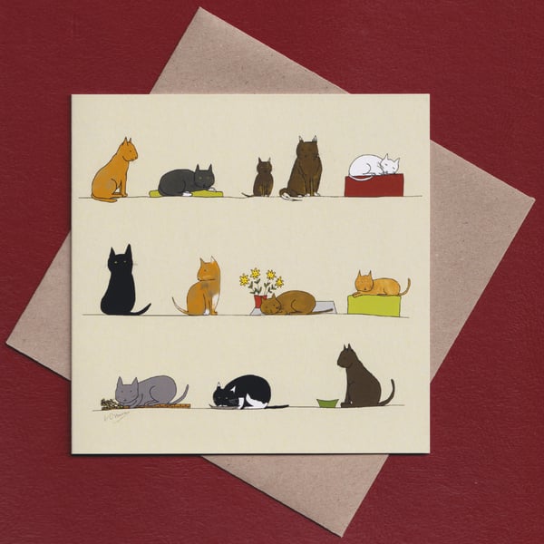 Greetings card - cats - birthday card