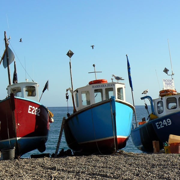 Boats at Beer