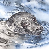 Jenny Chapman Artwork