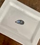 Mussel shell butter dish - coastal kitchen, bone china, seashells - Image 9