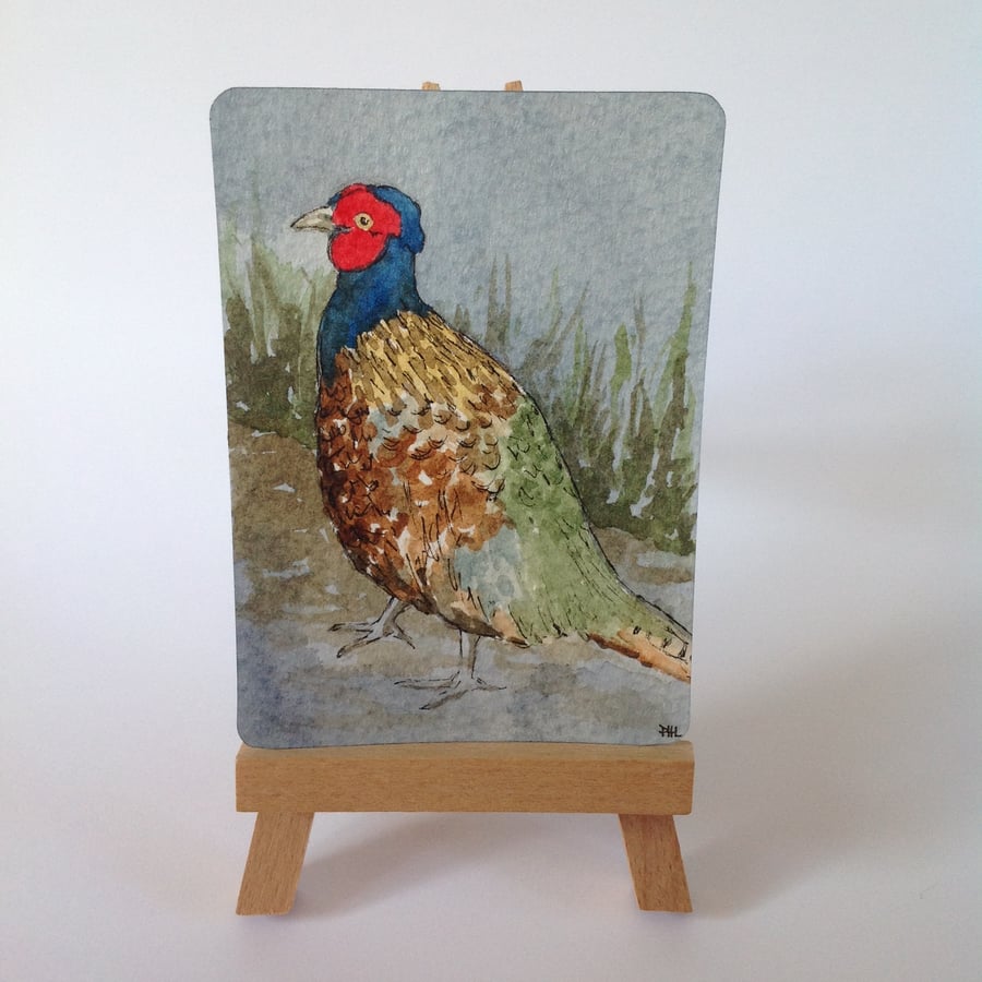 ACEO Original Pheasant watercolour