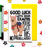 Funny Good Luck Exam Card, Cute Llama GCSEs, A Levels, Degree Support Card - Image 1