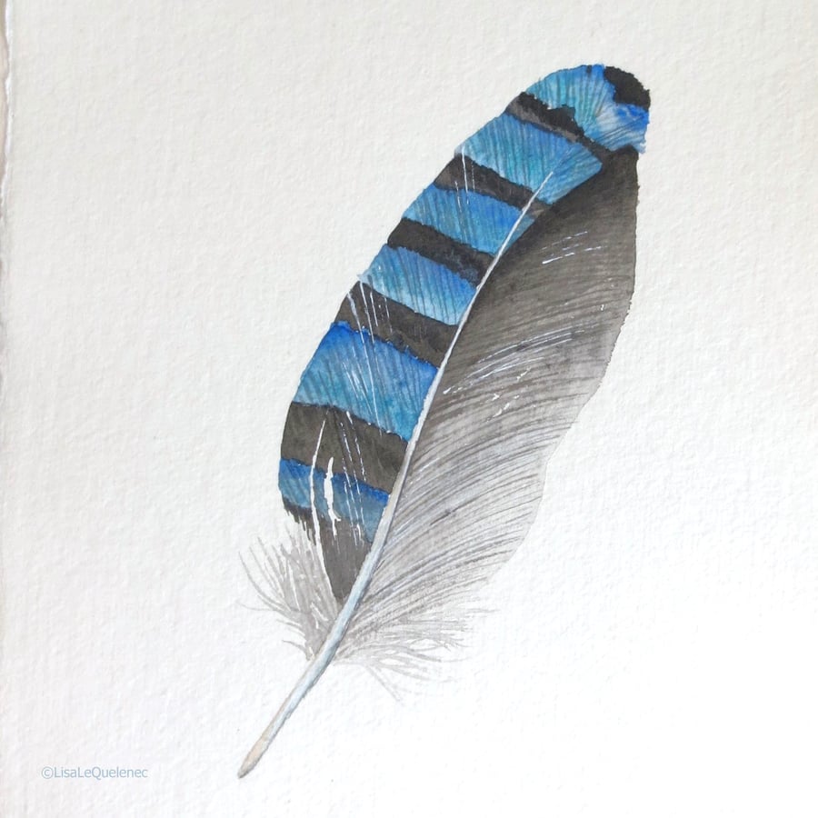 Seconds Sunday original watercolour feather blue jay painting