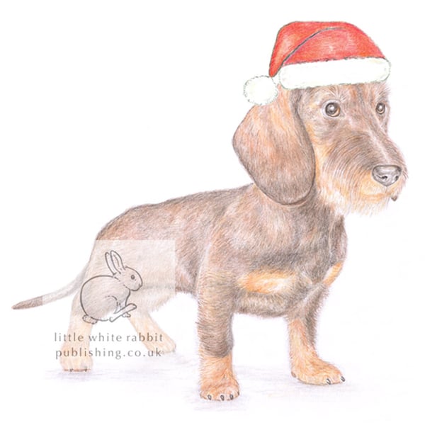 Hattie the Dachshund - Christmas Hat Card