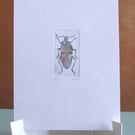 Original Mini Print Beetle 