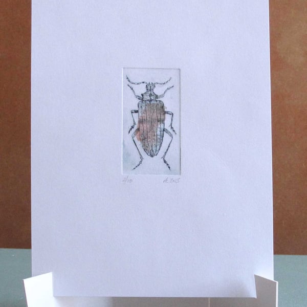 Original Mini Print Beetle 