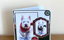 Christmas Cards