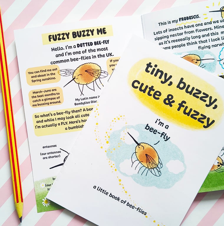 A6 Bee-Fly Zine - Tiny, Buzzy, Cute and Fuzzy - Wildlife Zine - Insects