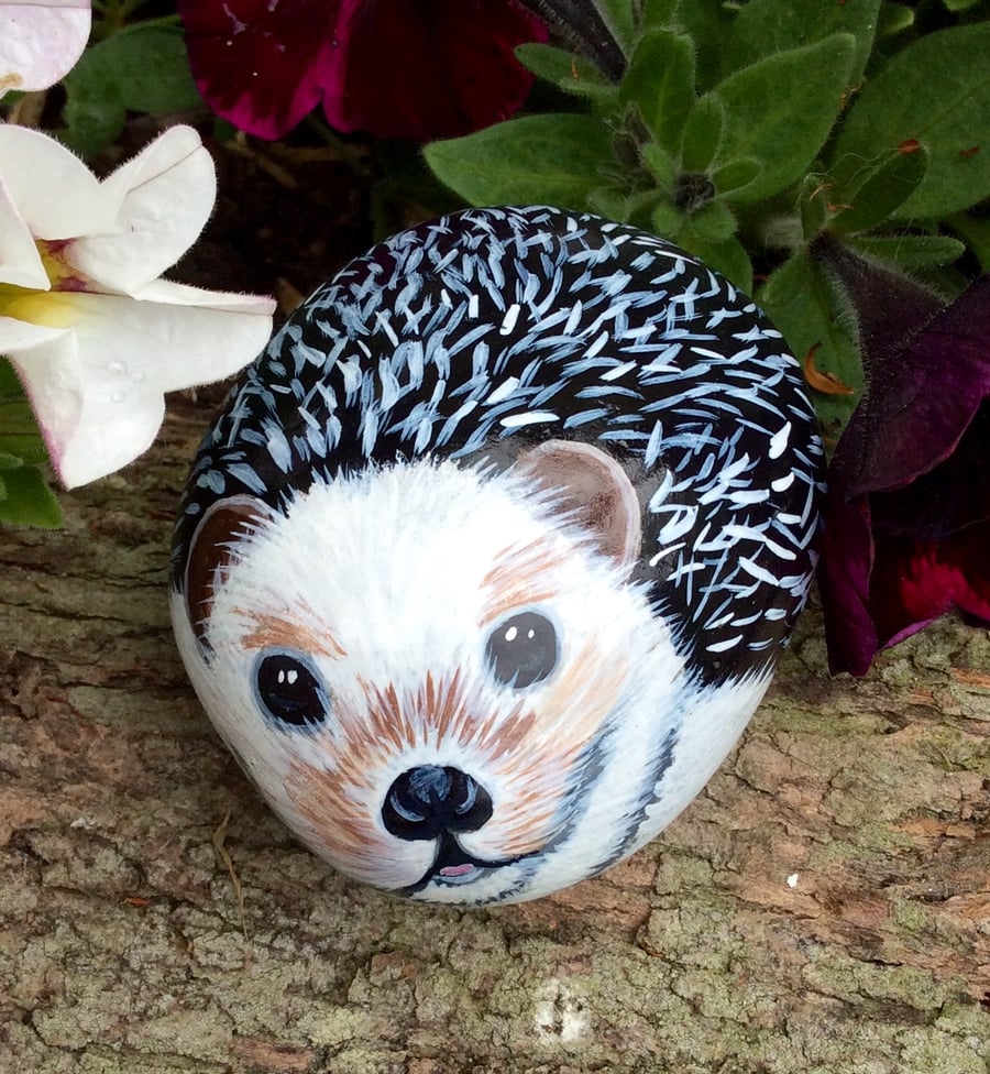 painted pebble hedgehog 