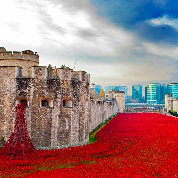 Tower of London Red Poppies England UK 18"x12" Print
