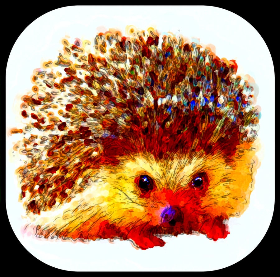 Hedgehog Coaster; High Gloss Finish; Wonderful Colours, 9.5 x 9.5cm