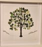 Seaglass seaham sea glass sycamore gap tree handmade in white frame