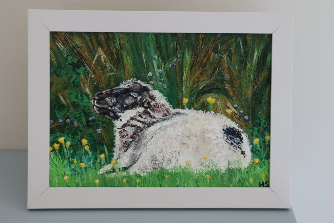 Fermanagh Lamb 7”x5” painting