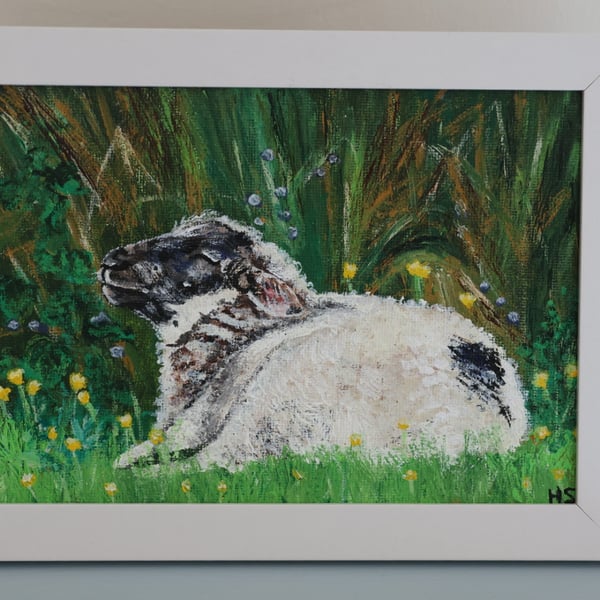 Fermanagh Lamb 7”x5” painting
