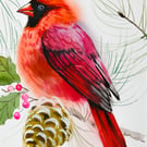 Northern Cardinal Watercolour Painting on Paper and Framed No.2