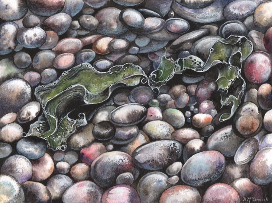 Seaweed and Pebbles - ORIGINAL PAINTING