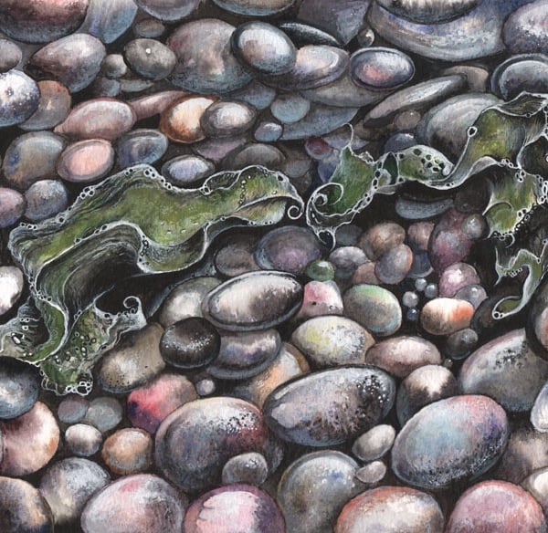 Seaweed and Pebbles - ORIGINAL PAINTING