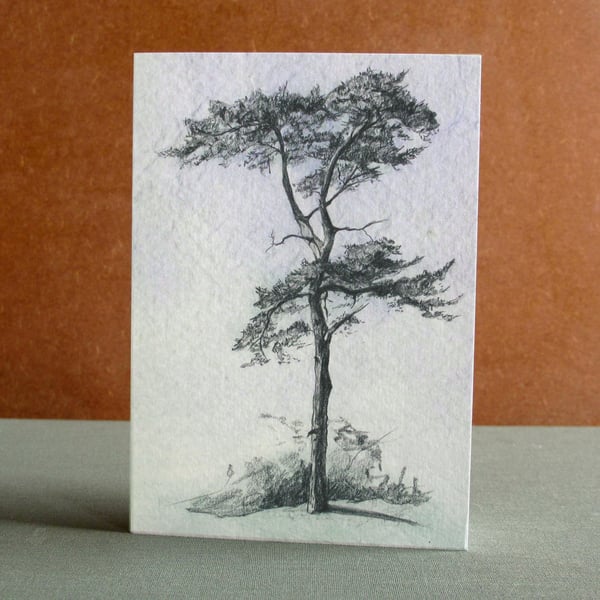 Blank Fine Art Card with envelope