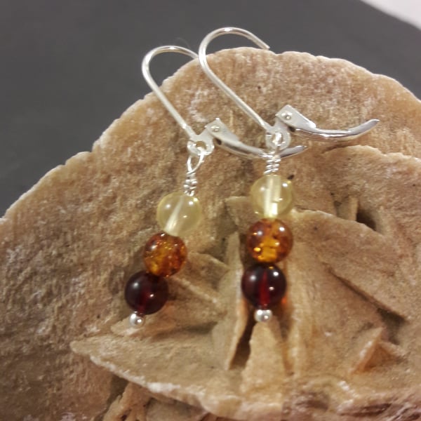 Tricolour Baltic Amber and Sterling Silver Short Earrings