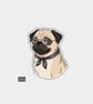 Funny Vinyl Die Cut Sticker For Adults - Cute Judgy Pug Dog