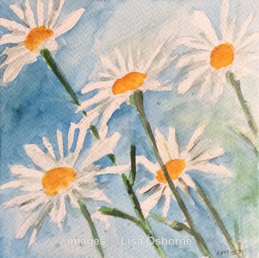 White daisies - original watercolour painting