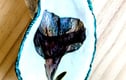 Shells