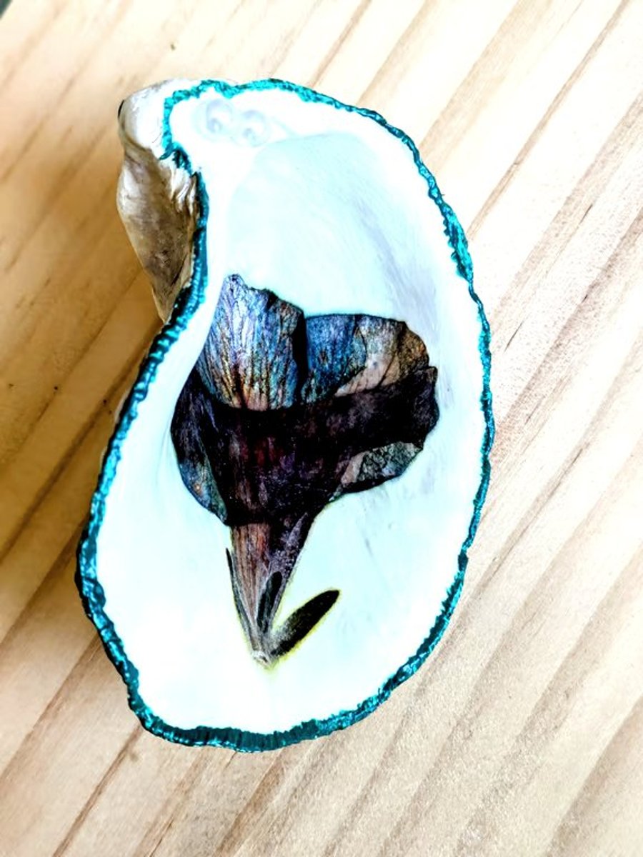 Oyster shell with dried flowers