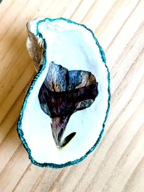 Oyster shell with dried flowers