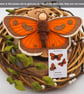 British butterfly - waldorf doll - gatekeeper
