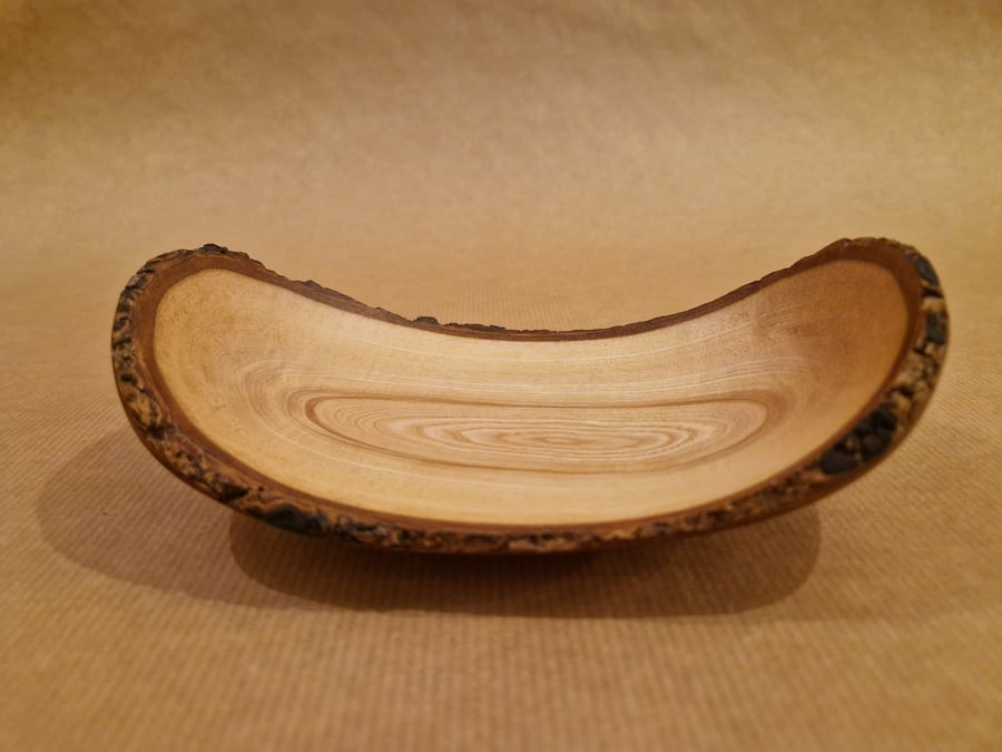 Olive Ash Winged Dish 004