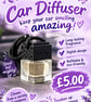 Car or wardrobe diffuser