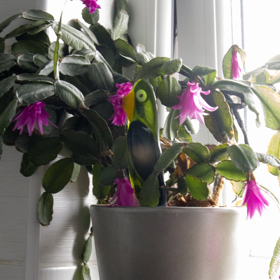 Translucent Green Fused Glass Pot Parrot - 6165