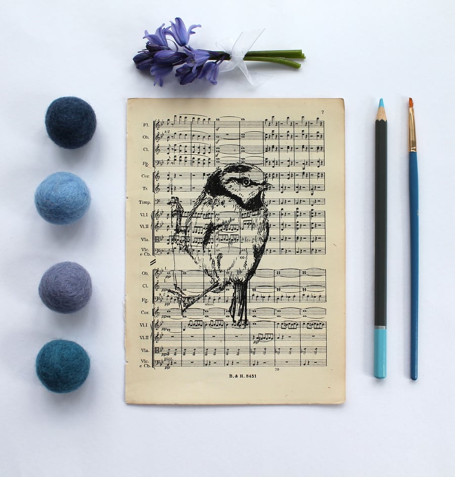 Clinging Blue Tit Gocco Print, Bird Print on Vintage Sheet Music