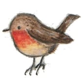 Little Robin