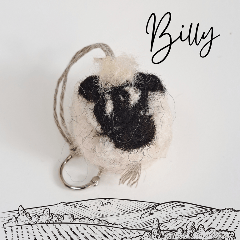 Billy the Sheep keyring and a pocket-sized stress buddy