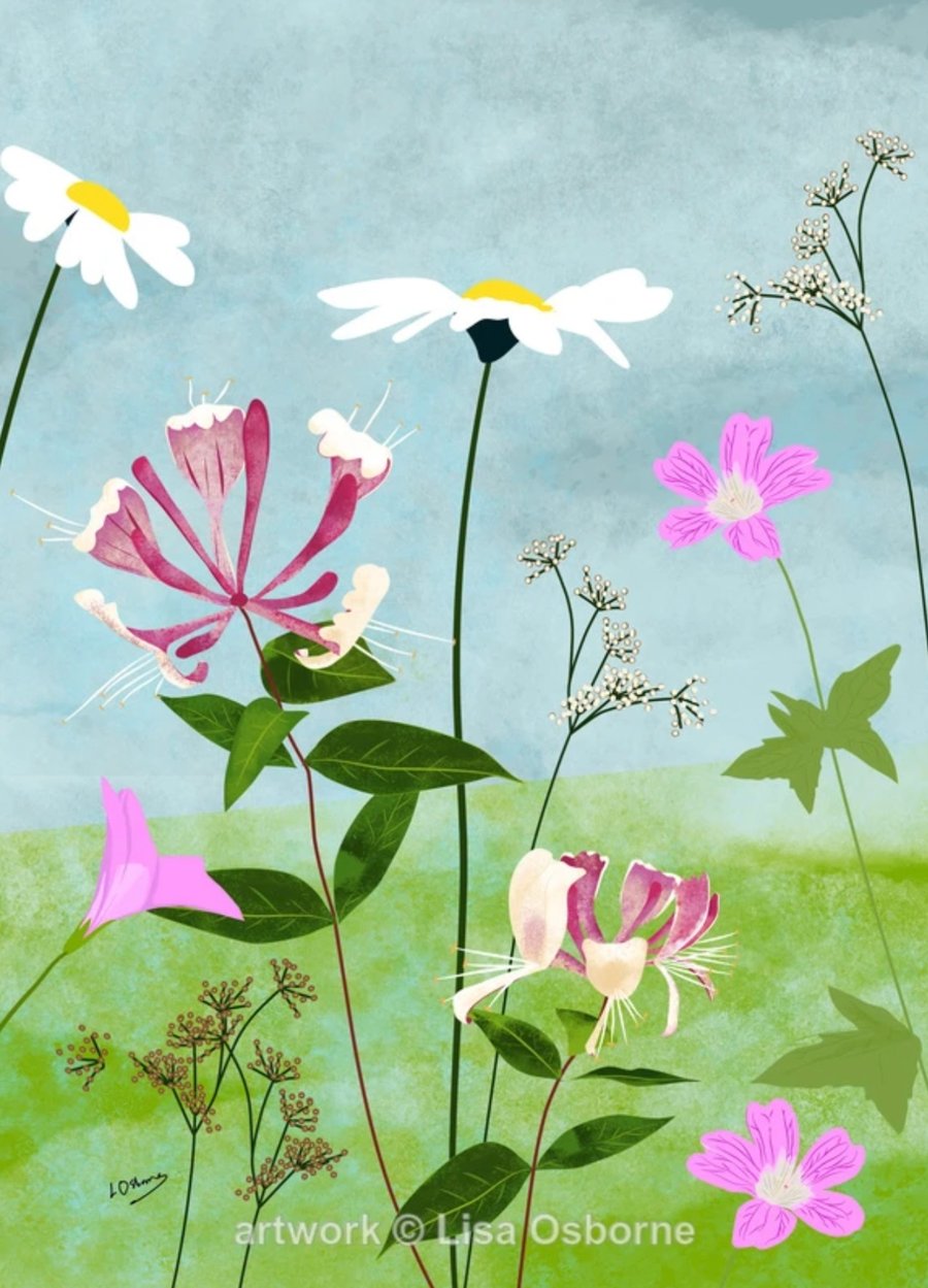 Honeysuckle - A4 signed print of summer flowers