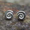 sterling silver ammonite stud earrings.