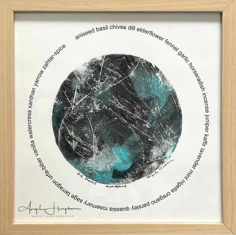 Framed Monoprint Skeletonised Leaves A-Z Herbs Circlet Aquamarine 
