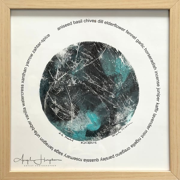Framed Monoprint Skeletonised Leaves A-Z Herbs Circlet Aquamarine 